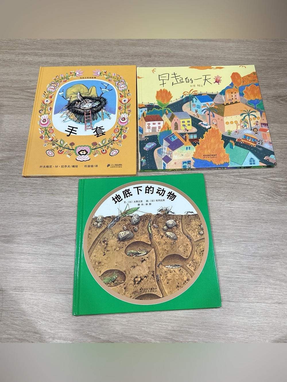 Set of 3 Chinese Children's Picture Books兒童中文書